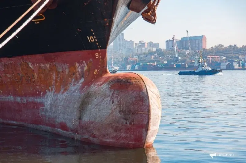 Фото: primamedia.ru