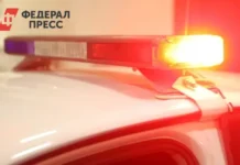 deti iz avtobusa posle dtp s avtovozom nahodyatsya v bezopasnosti na trasse m5 pod miassom-todey-ru-0