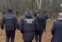 Дмитрий Артамошин из Подмосковья рассказывает о няне и исчезновении Полины dmitrij artamoshin iz podmoskovya rasskazyvaet o nyane i ischeznovenii poliny-todey-ru-0