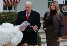 Дональд Трамп поделился любовью к McDonald's и планами на День благодарения в Белом доме donald tramp podelilsya lyubovyu k i planami na den blagodareniya v belom dome-todey-ru-0