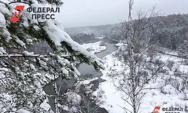 Эксперт Олег Иванников обсуждает перспективы поисков семьи Усольцевых-0