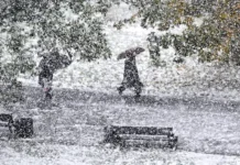 Гидрометцентр России сделал оптимистичный прогноз для Красноярска gidrometczentr rossii sdelal optimistichnyj prognoz dlya krasnoyarska-todey-ru-0