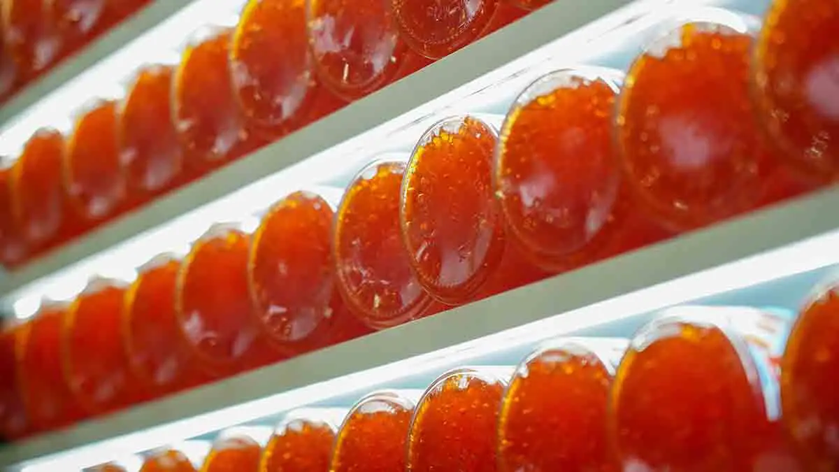 Чем опасна красная икра