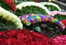 Курьер из Москвы получил рекордные чаевые за доставку букетов kurer iz moskvy poluchil rekordnye chaevye za dostavku buketov-todey-ru-0