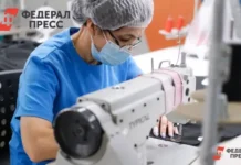 Малый и средний бизнес освоил почти 700 млрд рублей господдержки за 9 месяцев malyj i srednij biznes osvoil pochti 700 mlrd rublej gospodderzhki za 9 mesyaczev-todey-ru-0