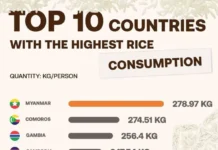Мировые рекорды потребления риса радуют Мьянму, Индонезию и Бангладеш mirovye rekordy potrebleniya risa raduyut myanmu indoneziyu i bangladesh-todey-ru-0