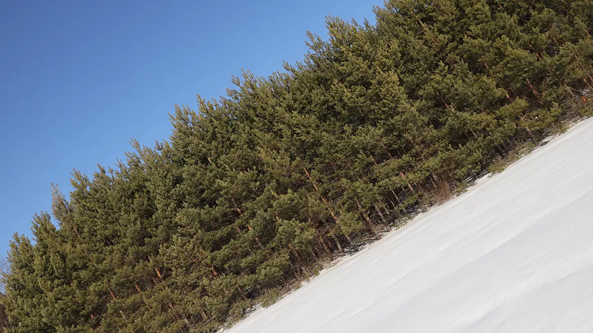 Спасатель Кабанов назвал главную ошибку семьи Усольцевых