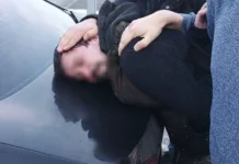 Правоохранительные органы Московской области разоблачили преступную группу pravoohranitelnye organy moskovskoj oblasti razoblachili prestupnuyu gruppu-todey-ru-0