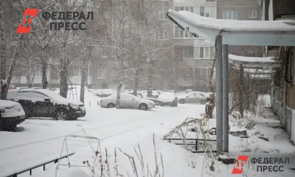 Рязанская область готовится к снегопадам и получает советы от МЧС-0