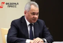 Шойгу посетил Каир для укрепления сотрудничества России и Египта shojgu posetil kair dlya ukrepleniya sotrudnichestva rossii i egipta-todey-ru-0