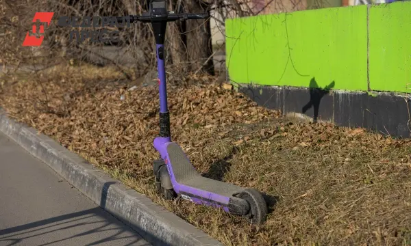 Статистика МВД России по Нижегородской области о ДТП с электросамокатами-0