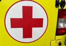 Трагедия в Чемпионате Сербии с участием Младена Жижовича и клуба «Раднички» tragediya v chempionate serbii s uchastiem mladena zhizhovicha i kluba radnichki-todey-ru-0