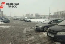 Тюмень выбрала безопасный реагент Бионорд вместо соли для зимних улиц tyumen vybrala bezopasnyj reagent bionord vmesto soli dlya zimnih ulicz-todey-ru-0