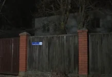 В Дедовске открылся реабилитационный центр для лечения гаджетомании с инициативой Татьяны Витушевой v dedovske otkrylsya reabilitaczionnyj czentr dlya lecheniya gadzhetomanii s inicziativoj tatyany vitushevoj-todey-ru-0