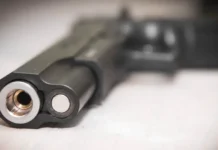 v missisipi zhenshhina spasla semyu ot sbezhavshih laboratornyh makak-todey-ru-0