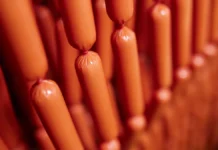 В Швебиш-Халле пивная и лавка мясника, а в Зеленограде — сосиски, шашлык и пиво v shvebishhalle pivnaya i lavka myasnika a v zelenograde sosiski shashlyk i pivo-todey-ru-0