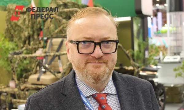 Виталий Милонов в Госдуме призвал к цифровой гигиене и ограничению рилсов-0