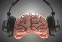 aleksej danilov i sechenovskij universitet issleduyut muzyku dlya zdorovya mozga-todey-ru-0