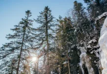 Циклон покидает Приморье, в регионе ожидается похолодание и солнце cziklon pokidaet primore v regione ozhidaetsya poholodanie i solncze-todey-ru-0