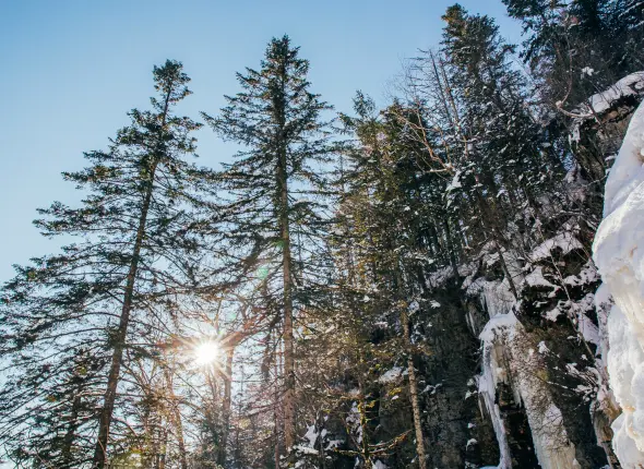 Фото: primamedia.ru