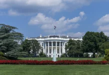 Джаред Кушнер и Стив Уиткофф представили Трампу итоги переговоров с Путиным dzhared kushner i stiv uitkoff predstavili trampu itogi peregovorov s putinym-todey-ru-0