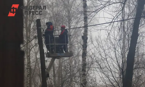 Георгий Филимонов и Евгения Мазанова обсуждают возвращение электричества в Вологодской области-0