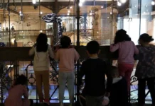 Илон Маск удивил мир высказыванием о Брюсселе и финансовых рекордах Tesla ilon mask udivil mir vyskazyvaniem o bryussele i finansovyh rekordah -todey-ru-0