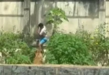 istoriya lviczy i mechtatelya gersona mashadu iz zooparka zhuanpesoa-todey-ru-0