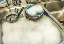 Микробиологи Джейсон Тетро и Ирина Яшина делятся советами по предотвращению пищевых отравлений mikrobiologi dzhejson tetro i irina yashina delyatsya sovetami po predotvrashheniyu pishhevyh otravlenij-todey-ru-0