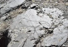 Новые открытия Вячеслава Молодина и ИАЭ СО РАН на Калгутинском святилище novye otkrytiya vyacheslava molodina i iae so ran na kalgutinskom svyatilishhe-todey-ru-0