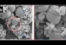 Перспективы технологии MOF и E. coli в борьбе с бактериями с помощью наношипов perspektivy tehnologii i v borbe s bakteriyami s pomoshhyu nanoshipov-todey-ru-0