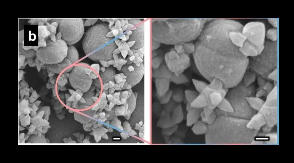 Перспективы технологии MOF и E. coli в борьбе с бактериями с помощью наношипов-0