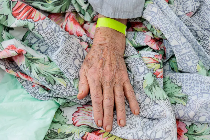 Фото: primamedia.ru