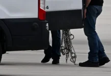 Происшествие в Канберре. История из Австралии с участием Харрисона и Дикина proisshestvie v kanberre istoriya iz avstralii s uchastiem harrisona i dikina-todey-ru-0