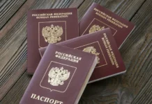 С 2026 года паспорта с отметкой ИД ЕРН будут у Каплана Панеша и Юлии Дрожжиной s 2026 goda pasporta s otmetkoj id ern budut u kaplana panesha i yulii drozhzhinoj-todey-ru-0