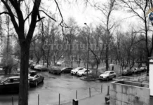 Следственный комитет России успешно раскрыл преступление на проспекте Вернадского sledstvennyj komitet rossii uspeshno raskryl prestuplenie na prospekte vernadskogo-todey-ru-0