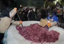 Таймырский десерт из Красноярского края стал рекордсменом Международного реестра tajmyrskij desert iz krasnoyarskogo kraya stal rekordsmenom mezhdunarodnogo reestra-todey-ru-0