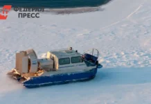 Управление гражданской защиты и противопожарной службы Чукотки обсуждает уроки ответственности и надежды upravlenie grazhdanskoj zashhity i protivopozharnoj sluzhby chukotki obsuzhdaet uroki otvetstvennosti i nadezhdy-todey-ru-0