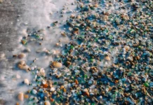 В Приморье 5 декабря ожидается солнечная погода и лёгкий мороз v primore 5 dekabrya ozhidaetsya solnechnaya pogoda i lyogkij moroz-todey-ru-0