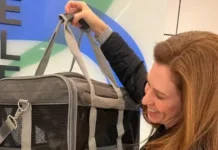 Венесса Джонсон делится опытом переживания утраты любимой собаки Оливера venessa dzhonson delitsya opytom perezhivaniya utraty lyubimoj sobaki olivera-todey-ru-0