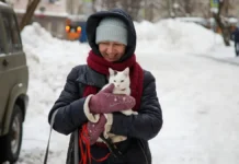aleksandr ilin iz meteo o tom kogda potepleet v moskve-todey-ru-0