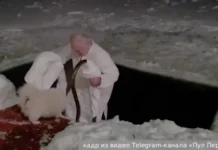 Александр Лукашенко и пес Умка искупались на Крещение aleksandr lukashenko i pes umka iskupalis na kreshhenie-todey-ru-0