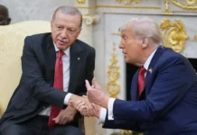 Эрдоган и Трамп обсудили ситуацию на Украине и в секторе Газа, Нетаньяху под давлением erdogan i tramp obsudili situacziyu na ukraine i v sektore gaza netanyahu pod davleniem-todey-ru-0