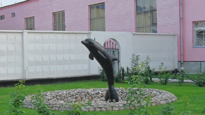 fsin garantiruet sergej shipilov budet v chernom delfine bez udo-todey-ru-0