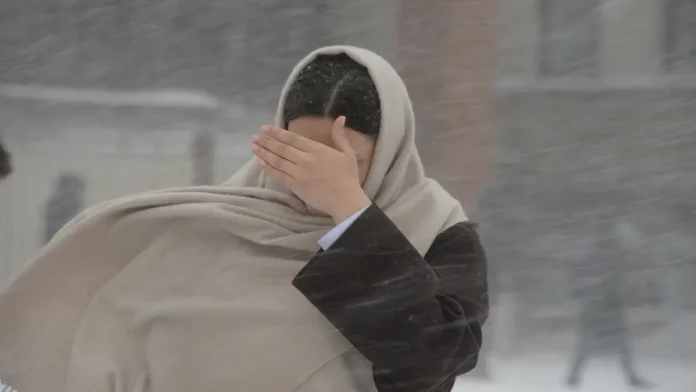 gosduma sovetuet kak perezhit snegopady na moskovskih uliczah-todey-ru-0