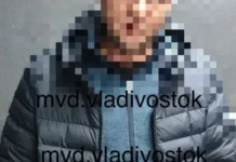 ГУ МВД по Приморскому краю задержало вандала, повредившего петардой урну Владивостока gu mvd po primorskomu krayu zaderzhalo vandala povredivshego petardoj urnu vladivostoka-todey-ru-0