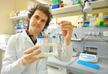 pervyj mgmu i dmitrij telyshev dostigli proryva v sozdanii pochki-todey-ru-0