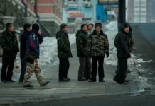 policziya tigrpravoporyadok i prokuratura vyyavili migrantov na strojke patrokla-todey-ru-0