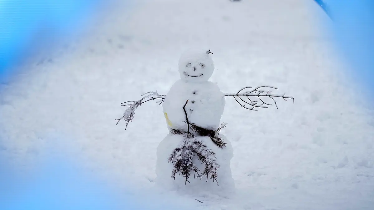 Синоптик Макарова: Снежный покров в Москве вырастет на 15-20 сантиметров