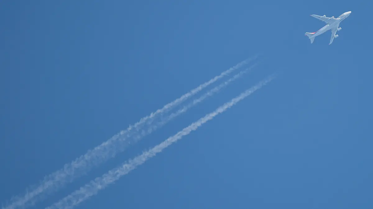 Временные ограничения ввели в аэропортах Домодедово и Жуковский